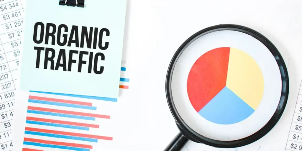ترافیک ارگانیک چیست
